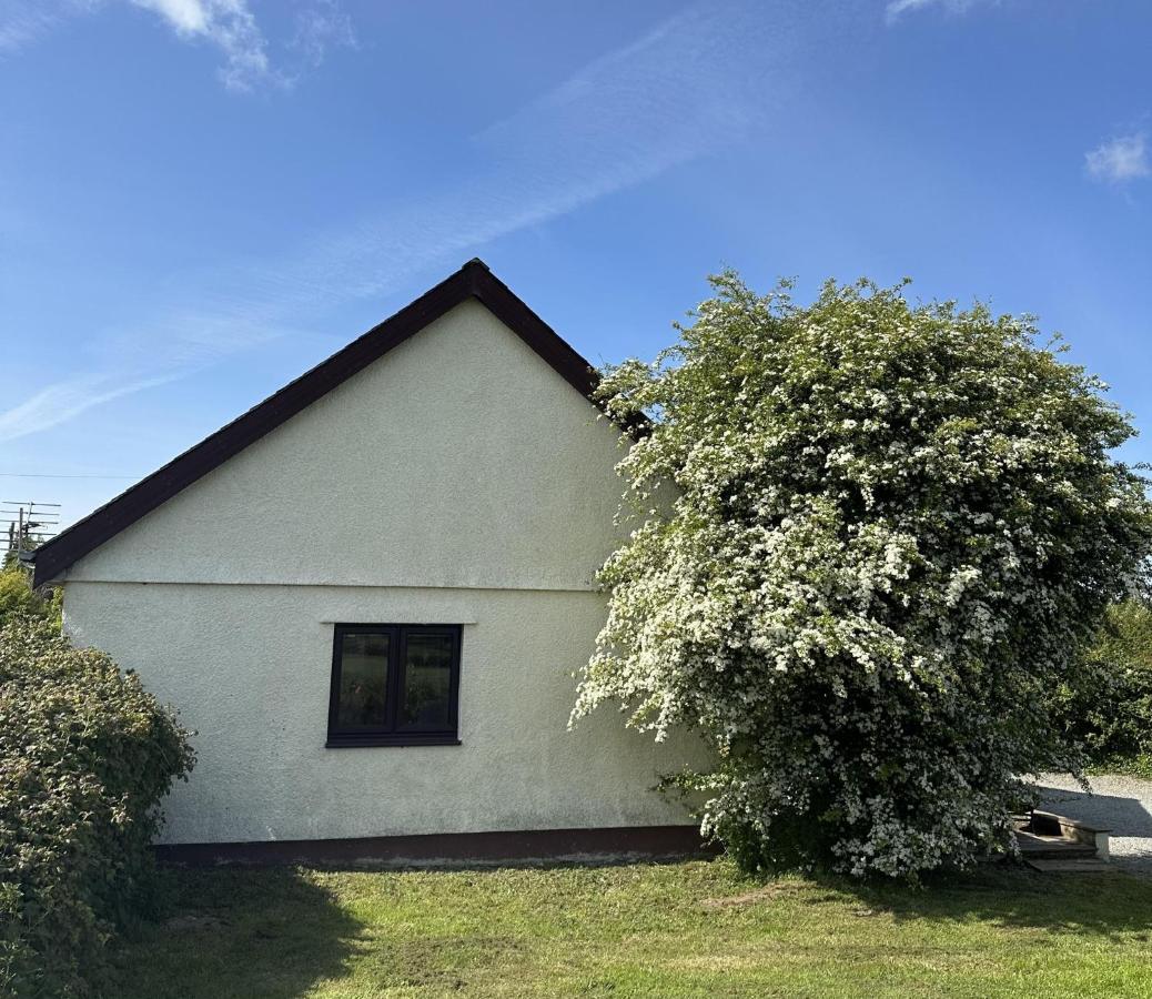 3 Bed Detached Cottage- Log Burner Mountain Views Beaumaris Buitenkant foto